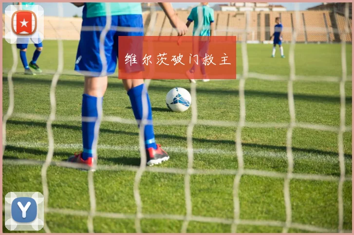 维尔茨破门救主