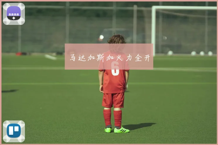 马达加斯加火力全开