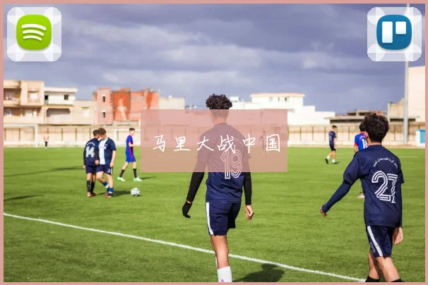 马里大战中国