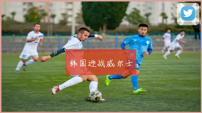 韩国迎战威尔士