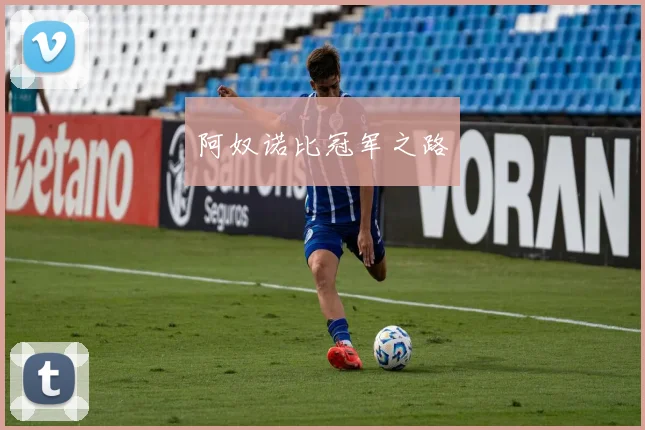 阿奴诺比冠军之路