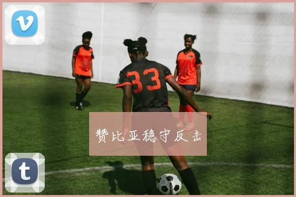 赞比亚稳守反击