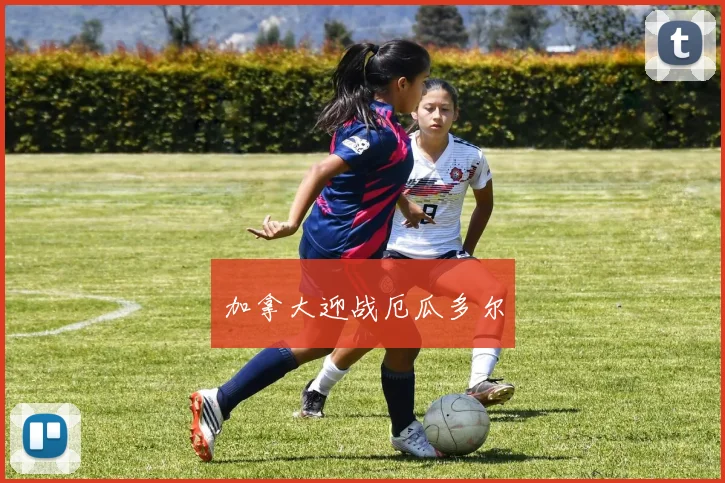 加拿大迎战厄瓜多尔