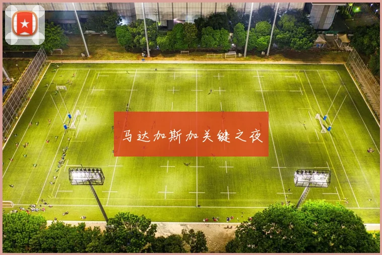 马达加斯加关键之夜