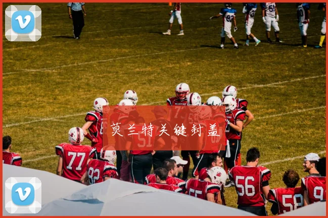 莫兰特关键封盖