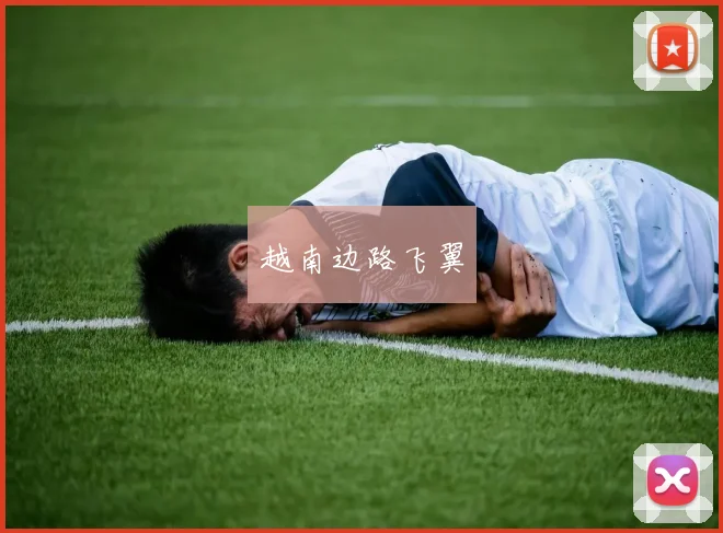 越南边路飞翼