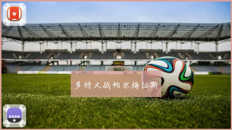 多特大战帕尔梅拉斯