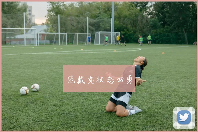 范戴克状态回勇