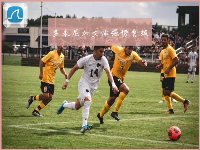 多米尼加女排强势晋级