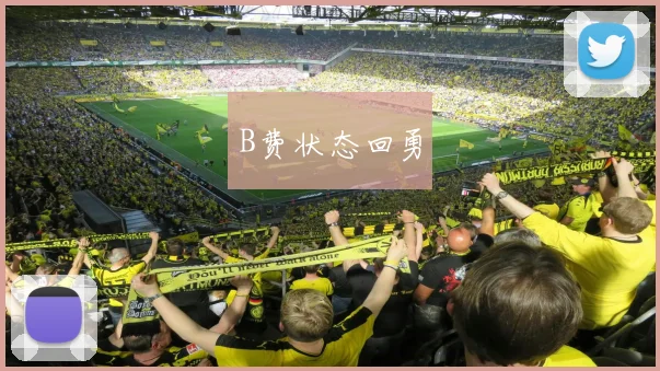 B费状态回勇