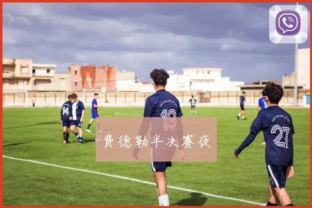 费德勒半决赛夜