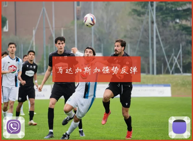 马达加斯加强势反弹