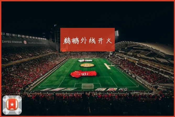鹈鹕外线开火
