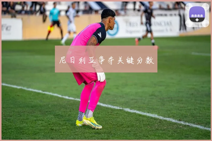 尼日利亚争夺关键分数