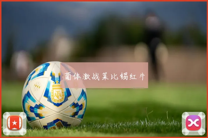 葡体激战莱比锡红牛