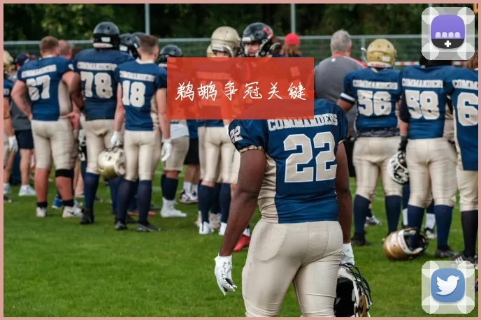鹈鹕争冠关键