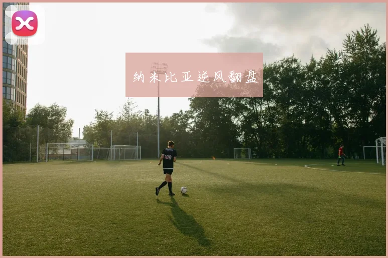 纳米比亚逆风翻盘