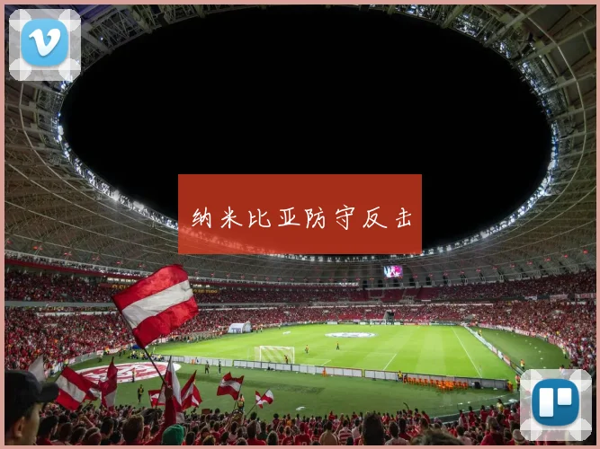 纳米比亚防守反击
