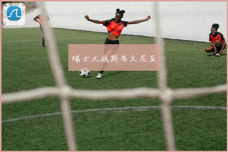 瑞士大战斯洛文尼亚