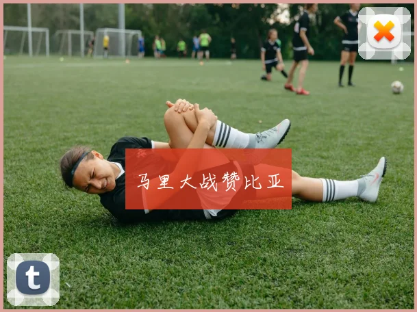 马里大战赞比亚
