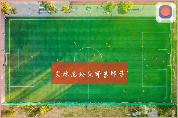 贝林厄姆交锋基耶萨