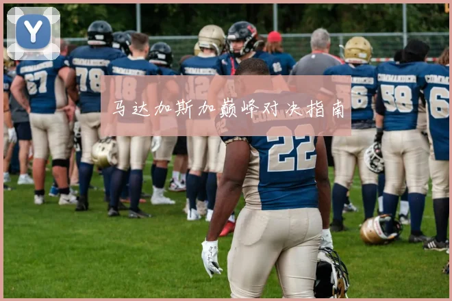 马达加斯加巅峰对决指南