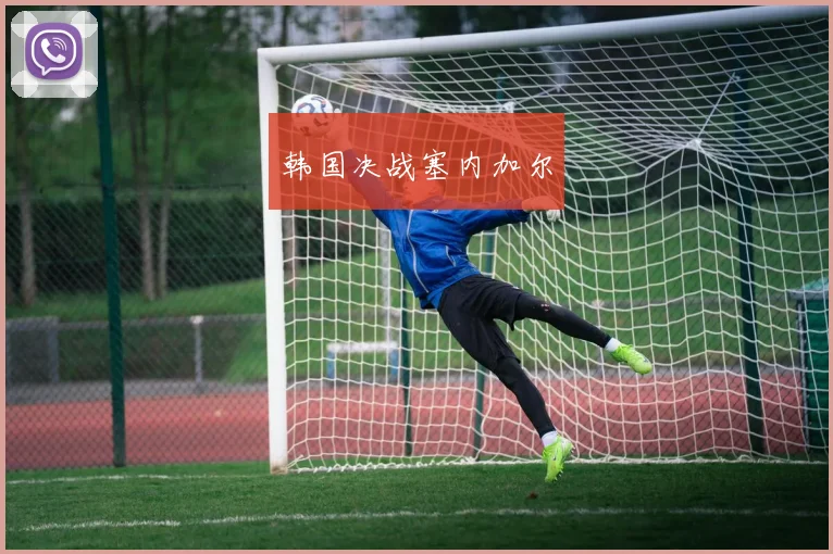 韩国决战塞内加尔