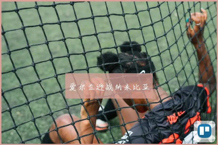 爱尔兰迎战纳米比亚