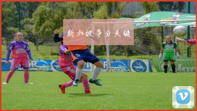 新加坡争分关键