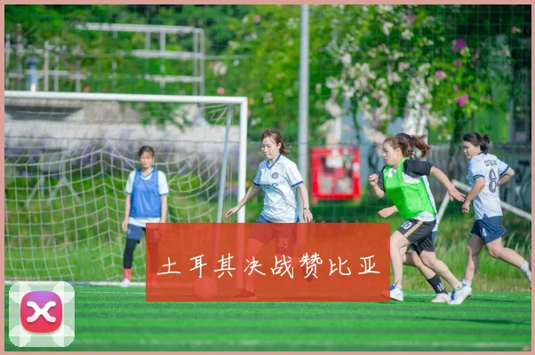 土耳其决战赞比亚