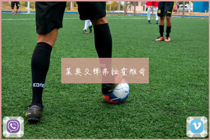 莱奥交锋弗拉霍维奇