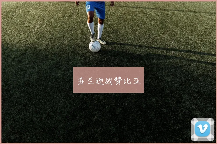 芬兰迎战赞比亚