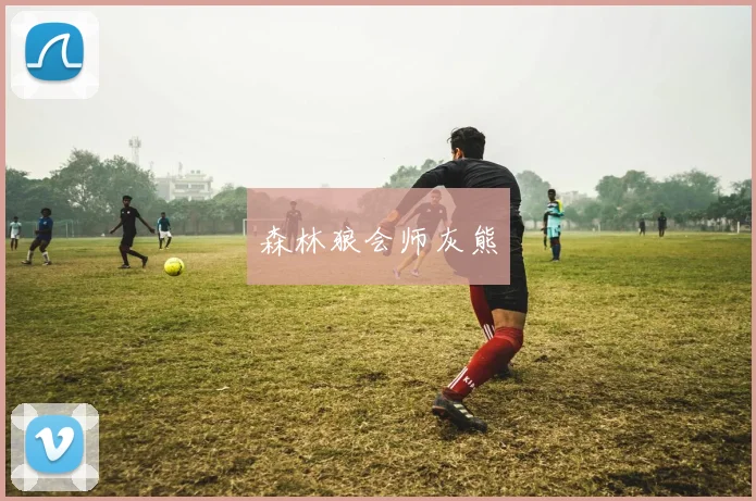 森林狼会师灰熊