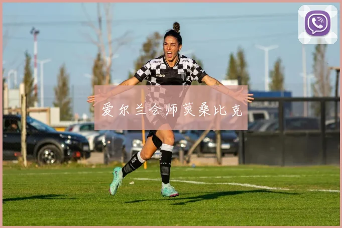 爱尔兰会师莫桑比克