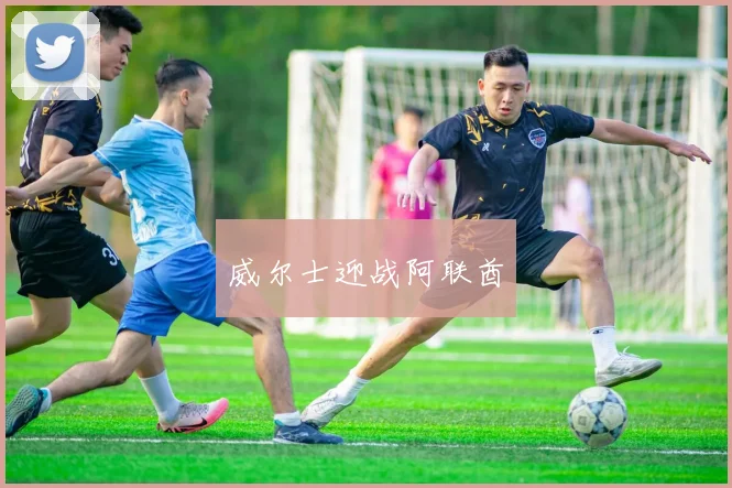 威尔士迎战阿联酋
