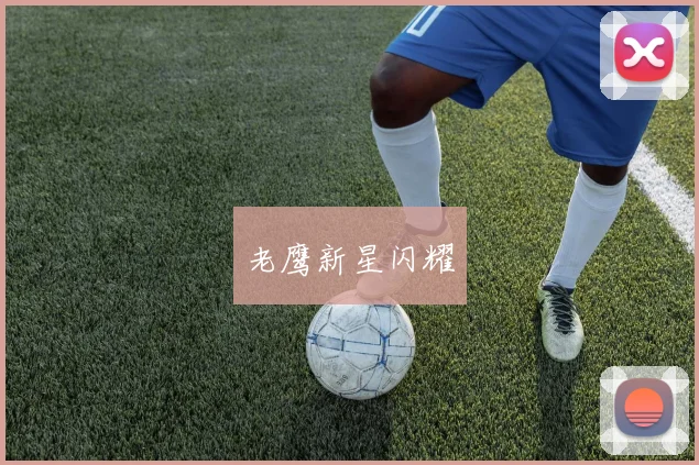 老鹰新星闪耀