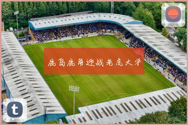 鹿岛鹿角迎战老虎大学
