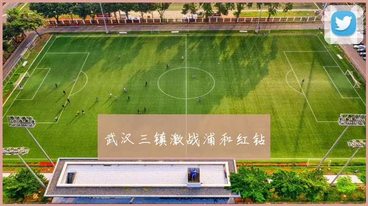 武汉三镇激战浦和红钻