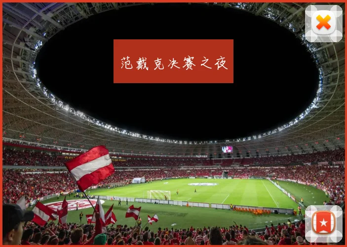 范戴克决赛之夜
