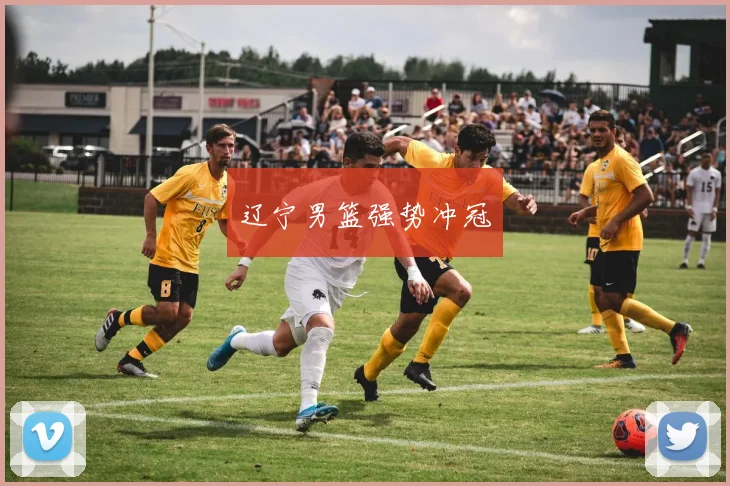辽宁男篮强势冲冠