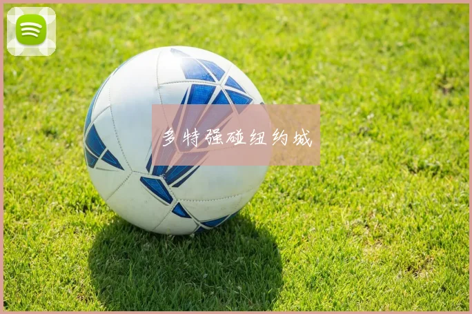 多特强碰纽约城