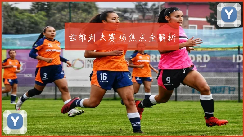 兹维列夫赛场焦点全解析
