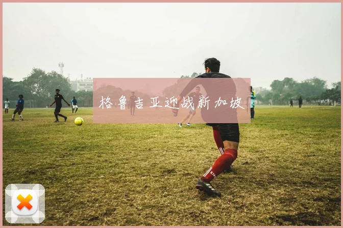 格鲁吉亚迎战新加坡