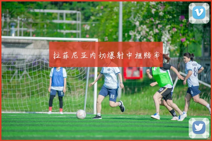 拉菲尼亚内切爆射中框赔率