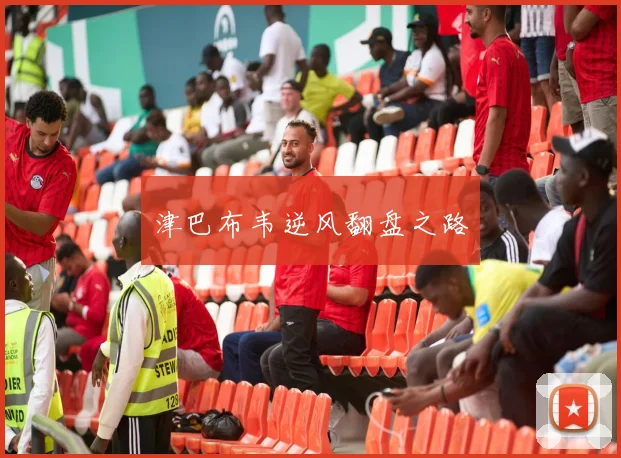 津巴布韦逆风翻盘之路