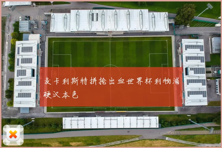 麦卡利斯特拼抢出血世界杯利物浦硬汉本色