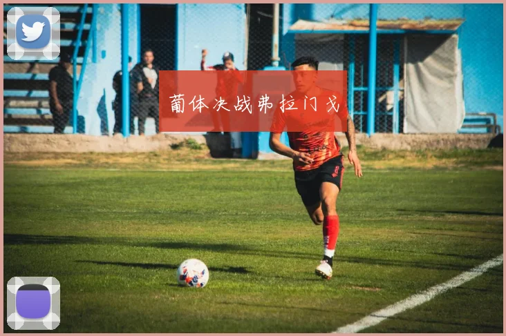 葡体决战弗拉门戈