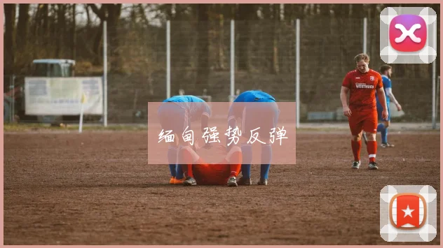 缅甸强势反弹