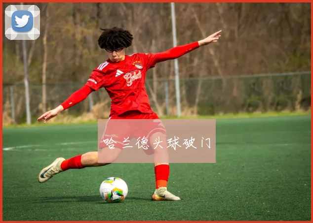 哈兰德头球破门