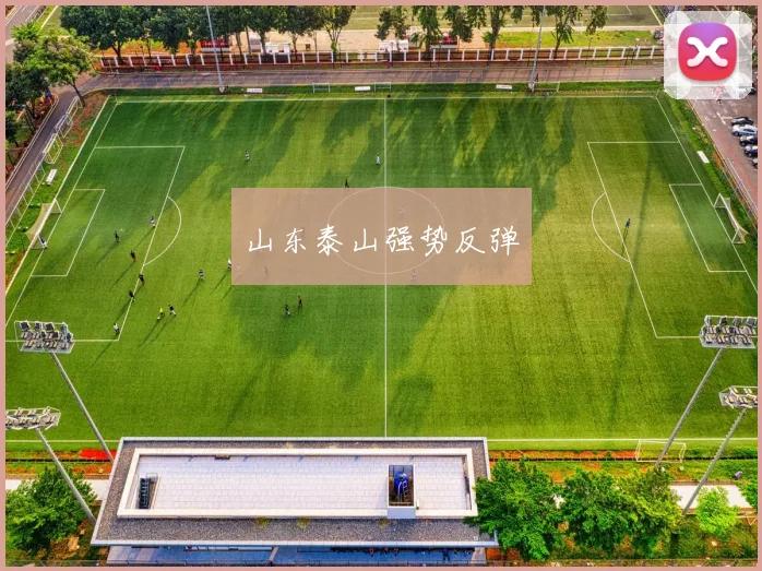 山东泰山强势反弹